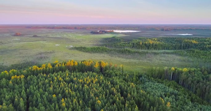 Aerial view of the swamp in natural reserve Krasny Bor, Belarus