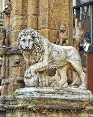 Fototapeta na wymiar One of the Medici lions. The sculpture depicts standing male lion with a sphere or ball under one paw, looking to the side. The lions have been copied & publicly installed in over 30 other locations.