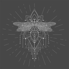 Vector illustration with hand drawn Dragonfly and Sacred symbol LOTUS on black background. Abstract mystic sign. White linear shape.