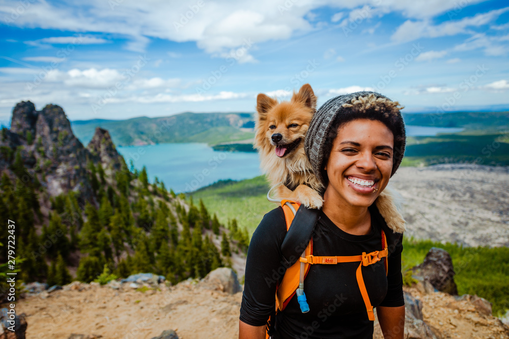 Wall mural girl hiking with dog in backpack