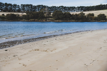 Fototapeta na wymiar sunny Australian beach in Cremorne, Tasmania