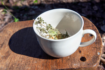 preparing herbal tea in white cup