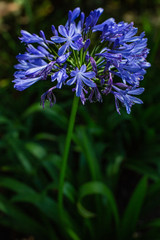 Some relaxing things of nature.