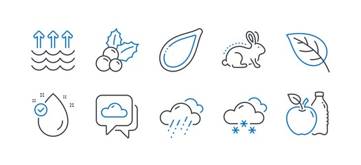Set of Nature icons, such as Vitamin e, Leaf, Snow weather, Pumpkin seed, Weather forecast, Evaporation, Animal tested, Christmas holly, Apple line icons. Oil drop, Environmental. Vector