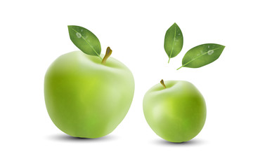 Realistic Green Apples. Realistic 3d apples. Detailed 3d Illustration Isolated On White. Healthy and Natural fruit design in EPS10 vector illustration.
