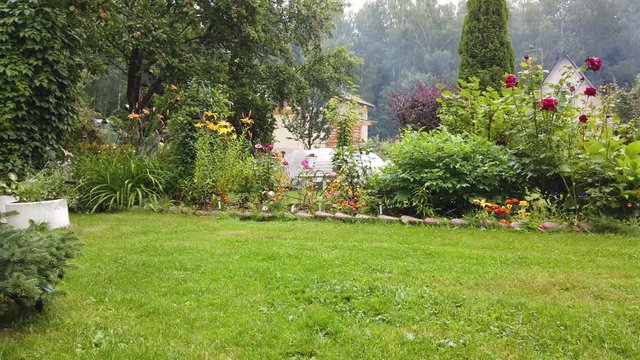 White puppy plays outdoors
