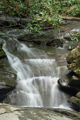 waterfall in the forest
