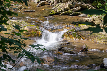 Fototapeta premium waterfall in the forest