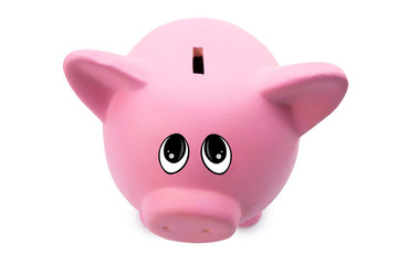 pig piggy bank asks for money looking at camera