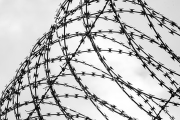 Barbed wire on country border