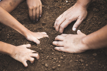 Child and parent digging the soil prepare for plant the tree together