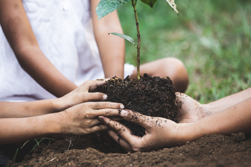 Children and parent hands planting young tree on black soil together as save world concept