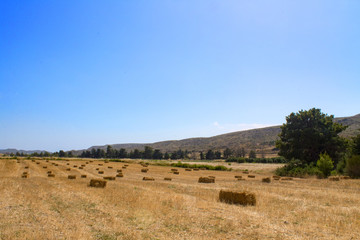 panorama of the mountain trees, the sky with clouds and a field with folded rectangular stacks of hay collected in the foreground.