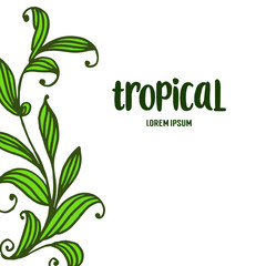 Beautiful background with frame green leaves, letter tropical. vector