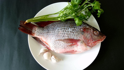 Fresh raw Tilapia fish in a white plate with black background. Tilapia is the fourth-most consumed fish due to its low price, easy preparation, and mild taste.