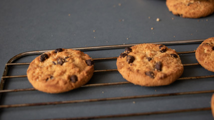  delicious cookies with chocolate chips, to enjoy with everyone.
