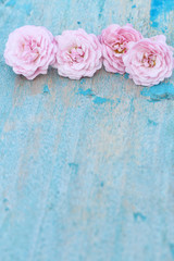 pink rose on blue wooden background