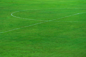 Obraz premium green natural grass of football or soccer field with part of center round white line for sport background