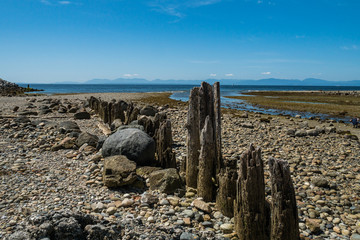dry rocky coast covered with green algae and few Rotten wooden piers with a shallow water way run into the ocean under blue sky on a sunny day