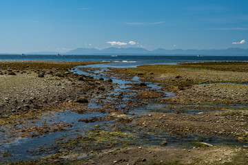 dry beach on the coast with a narrow waterway connected to the ocean under blue sky on a sunny day