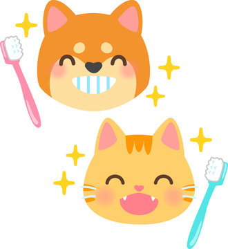 きれいな歯の犬、猫と歯ブラシ