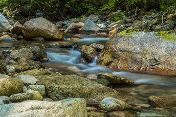water running down the rocky creek inside forest surrounded by green bushes under the shade.