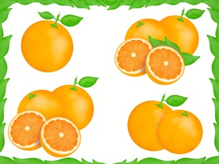 Hand drawn of fresh orange and leaves frame isolated on white background, Creative minimalistic food concept, set, Space for your text