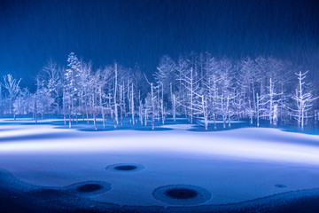 美瑛町 雪景色の青い池ライトアップ