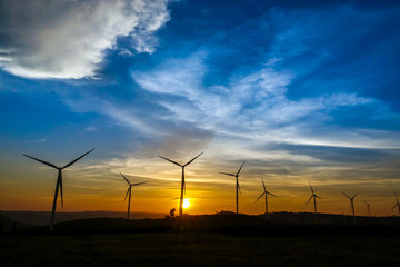 Fototapeta na wymiar Wind turbine farm from clean energy. Wind power for electricity.