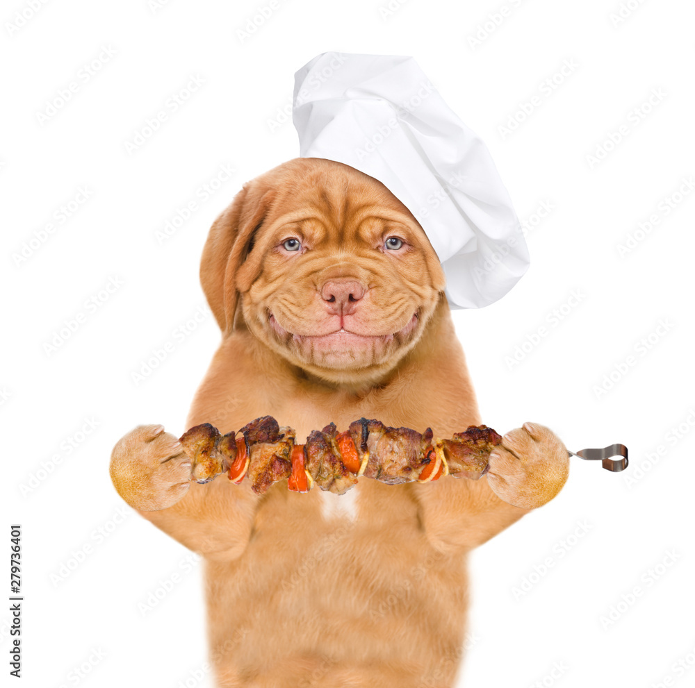 Poster funny dog in chef's hat with grilled meat on skewer. isolated on white background