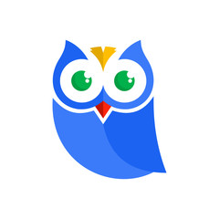 Cute colorful  owl flat icon.