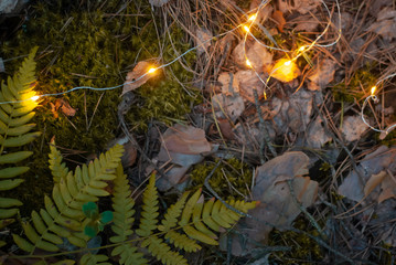 yellow garland on the ground in the forest, forest background flat lay,