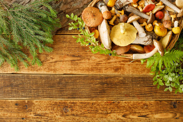 Fototapeta premium Mushrooms on old wooden background. Card on autumn or summertime. Forest harvest. Boletus, chanterelles, leaves, berries. Flat lay.