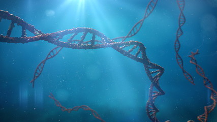 DNA molecule, double helix floating in water