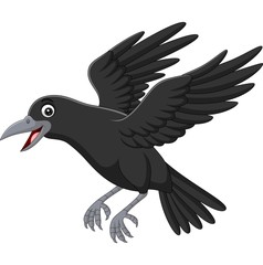 Cartoon crow flying isolated on white background