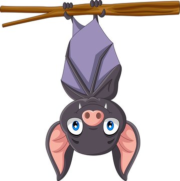 Cute bat cartoon hanging on the branch
