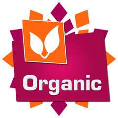 Organic Pink Orange Circular Squares Symbol 