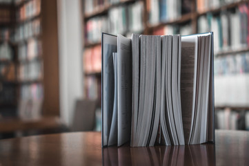 Standing book