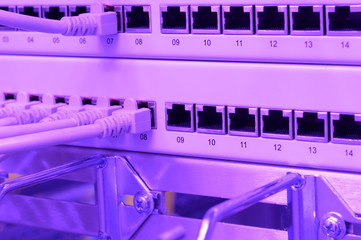 Netzwerk Switch und Netzwerkkabel in einem Rechenzentrum