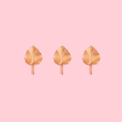Creative minimalistic autumn still life on a pink background. Three golden hosta leaves wich is...