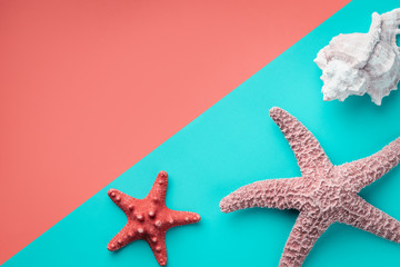 Top view starfish and seashell on a colored background divided diagonally into different colors with copy space
