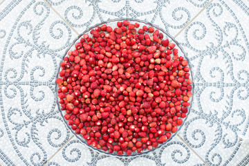 Strawberry plant with green leaves and ripe red fruits, red berry - Fragaria vesca.
