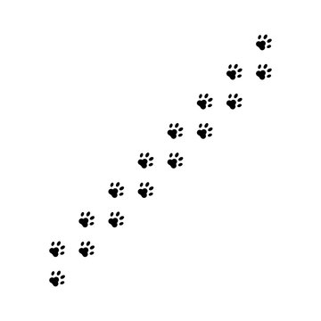 Paws cat or dog prints on floor. Animal paws isolated on white background. Pet print.