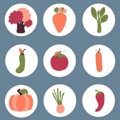 Collection of vegetable, hand drawn vector design
