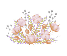 Composition of the buds and fruits of cotton. Vector illustration on white background.