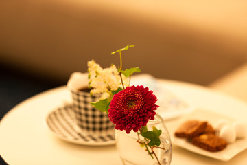 ティータイムイメージ