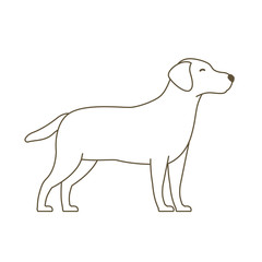 Dog. Animal pets. Labrador retriever. White icon. Outline contour line vector illustration.