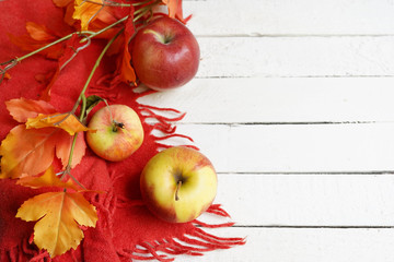 Fresh red apples with leaves. On a white wooden background. place for text