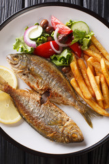Fried Salema porgy fish with a side dish of fresh salad and french fries close-up on a plate. vertical	Fried Salema porgy fish with a side dish of fresh salad and french fries close-up on a plate on t