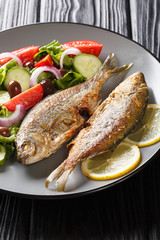 fried Salema porgy sea fish with fresh vegetable salad close-up on a plate. horizontal